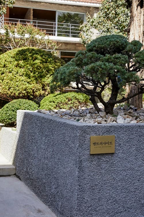 앤트러사이트 서교점 사진 1