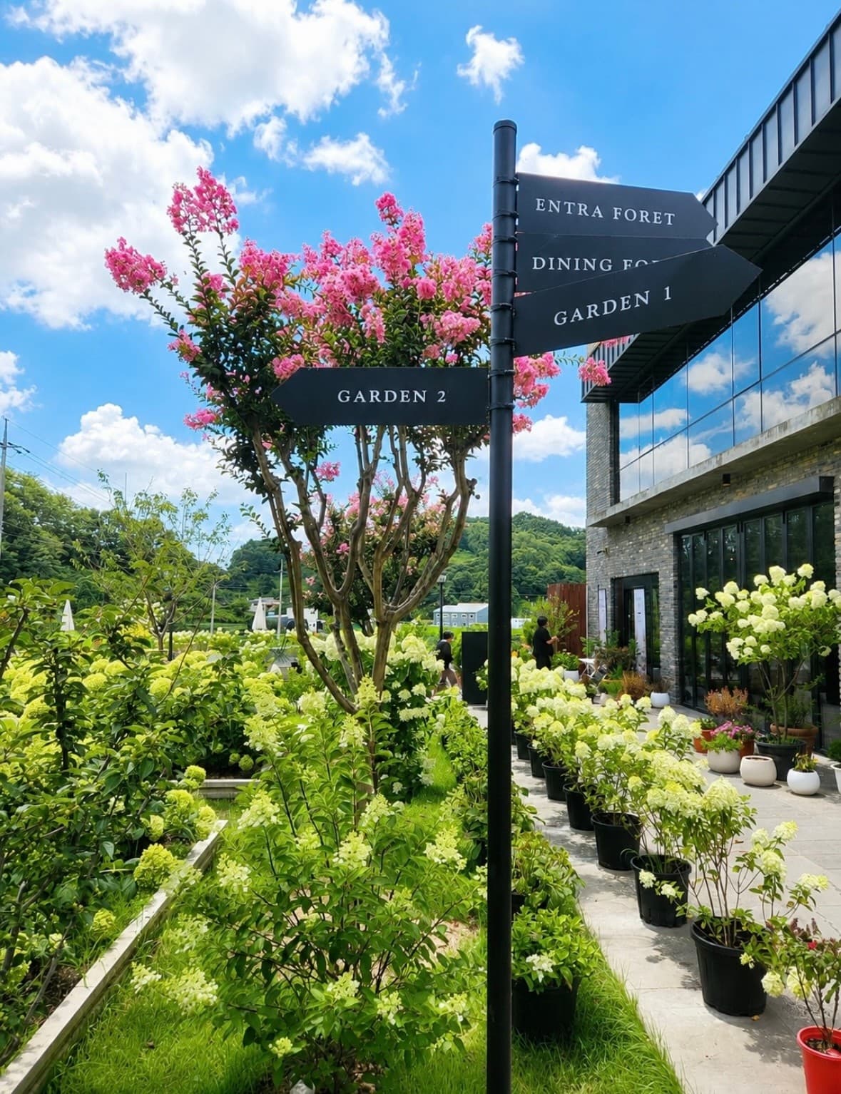 엔트라포레 사진 1